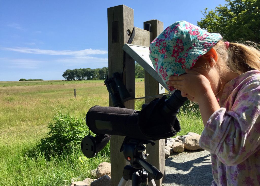 Nordfyns Naturskole VærUDE Naturens dyr og fugle