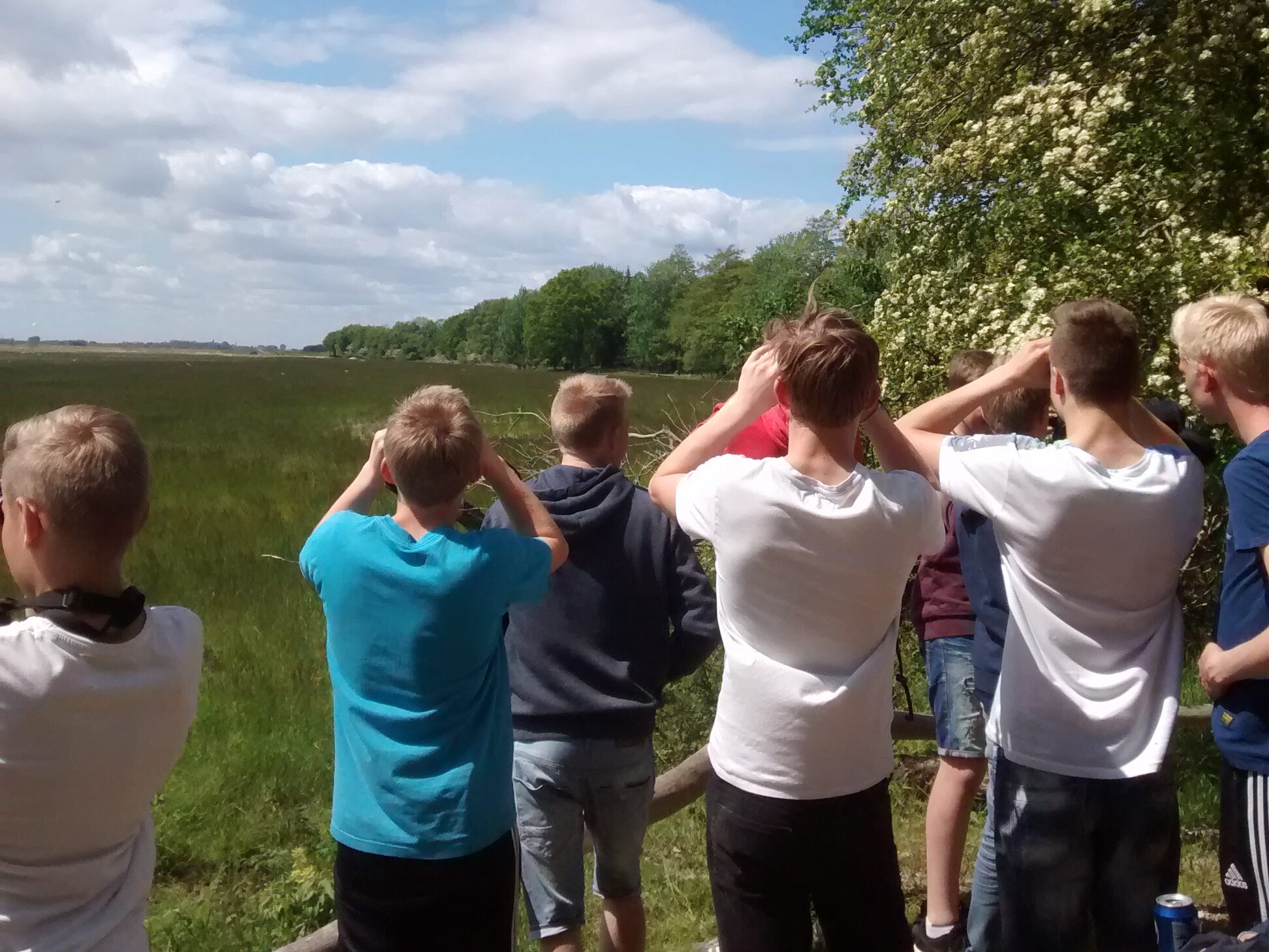 Nordfyns Naturskole VærUDE BioBlitz og Værksteder for børn og unge