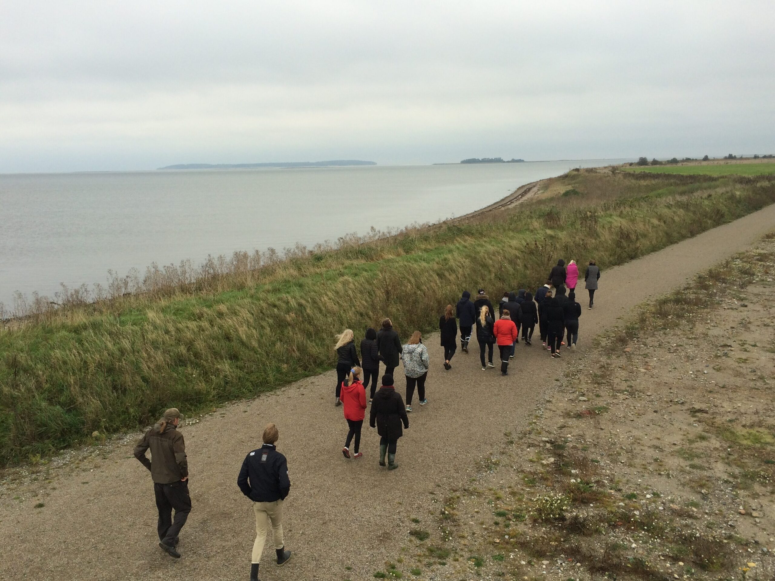 Naturvejledning og guidede ture ved Gyldensteen strand med værude.dk