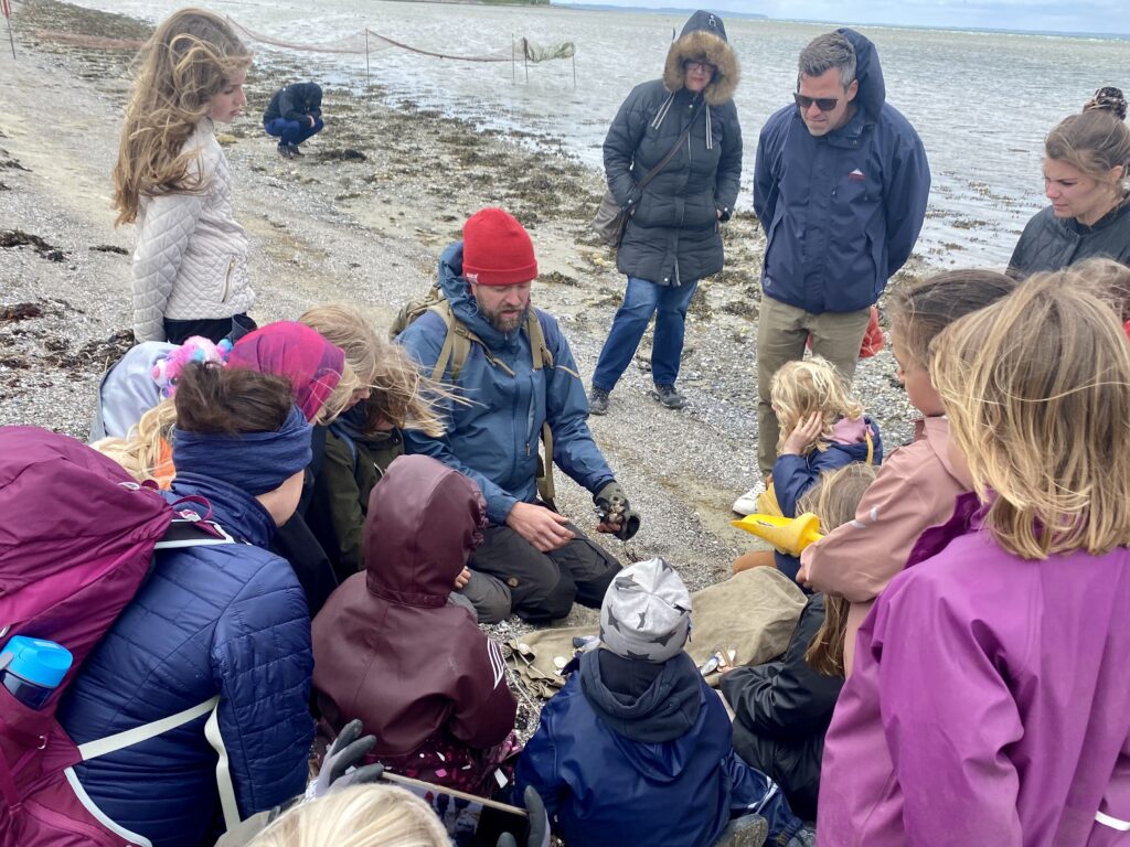 Guidede ture med naturvejleder ved Flyvesandet